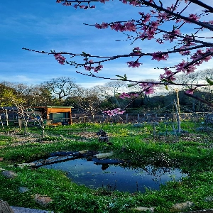 Atelier zen créAtif  en pleine nature